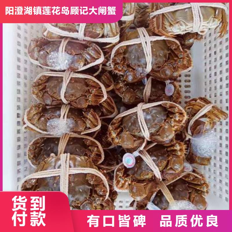 【螃蟹】 网上订购大闸蟹当日价格覆盖范围含|梁园|睢阳|三门峡|许昌|洛阳|南阳|平顶山|焦作|郑州
