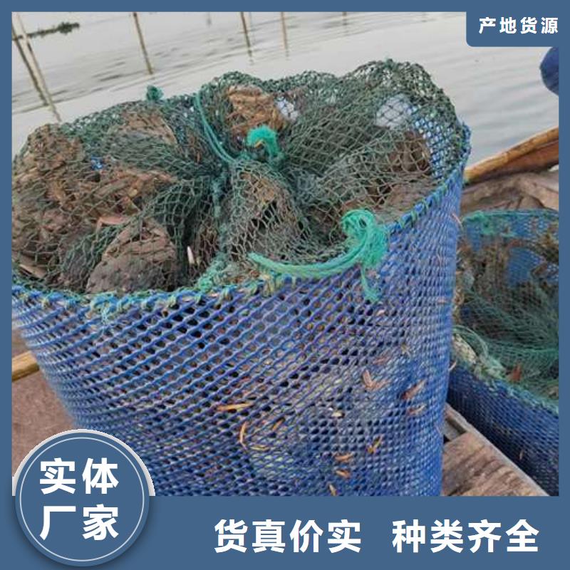 顾记阳澄湖大闸蟹【螃蟹阳澄湖大闸蟹多少钱批发商】云商赢企