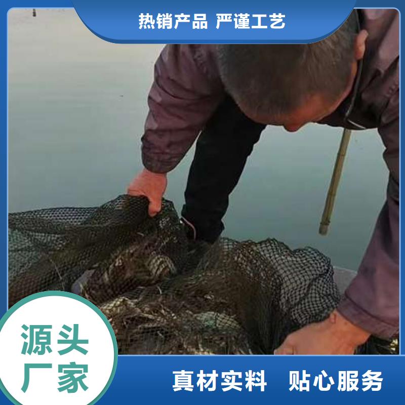 【螃蟹】-阳澄湖大闸蟹订购服务始终如一-可发货到江山|开化|台州|杭州|金华|舟山