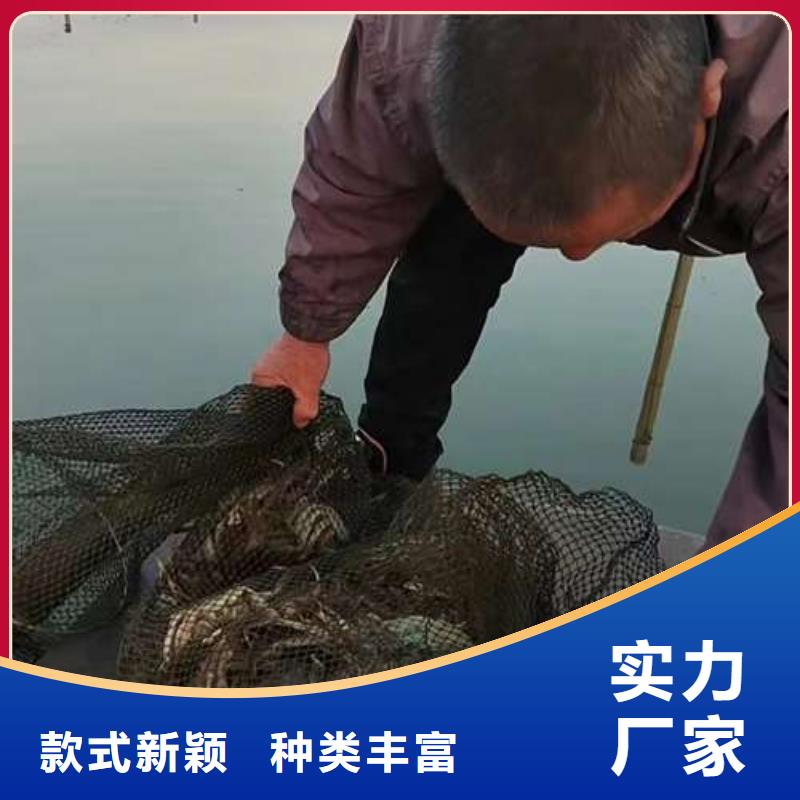 好货直销螃蟹_【阳澄湖大闸蟹订购】有实力有经验