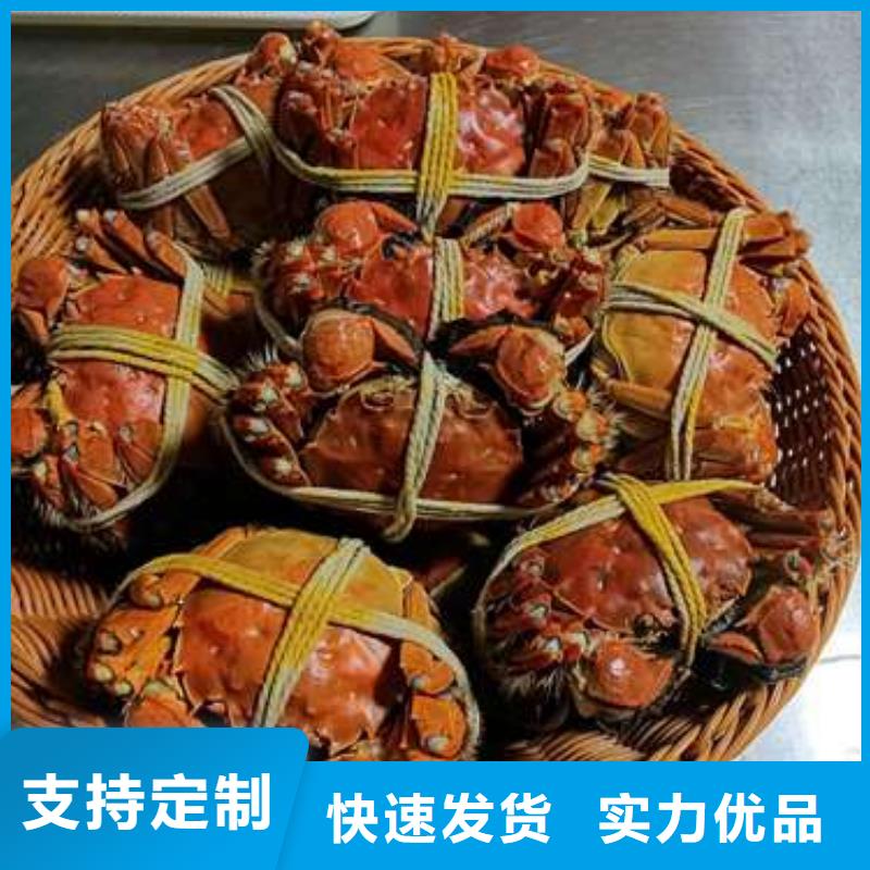 阳澄湖大闸蟹-阳澄湖大闸蟹厂家直发
