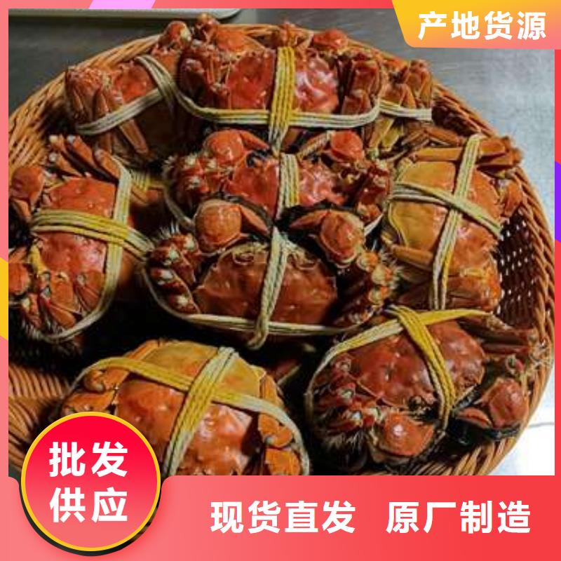 阳澄湖大闸蟹规格齐全的厂家