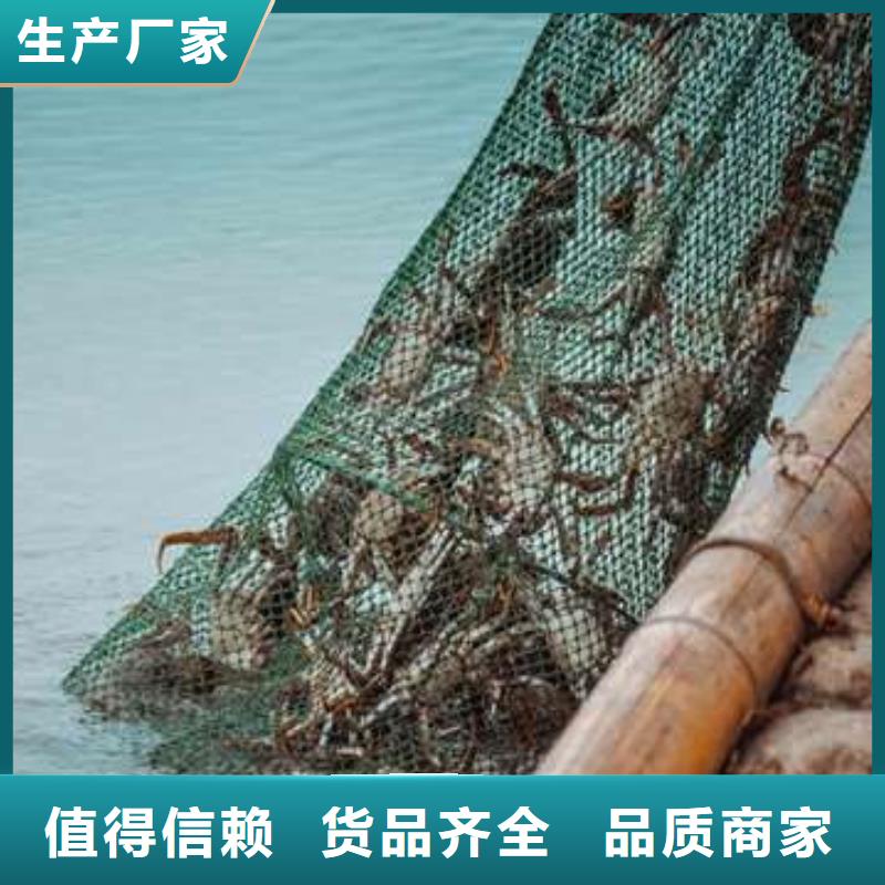 阳澄湖大闸蟹-阳澄湖大闸蟹重信誉厂家