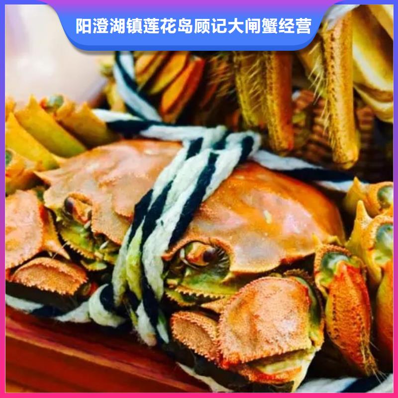 好货直销螃蟹_【阳澄湖大闸蟹订购】有实力有经验