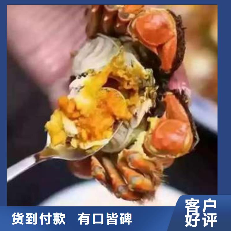 阳澄湖大闸蟹-阳澄湖大闸蟹厂家直发