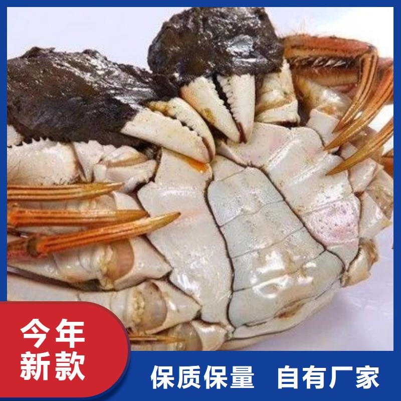 定制阳澄湖大闸蟹