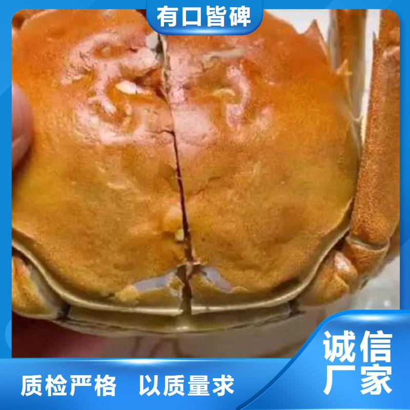 阳澄湖大闸蟹规格齐全的厂家