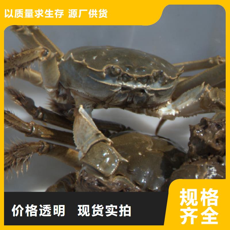 制造商螃蟹【阳澄湖大闸蟹】适用场景