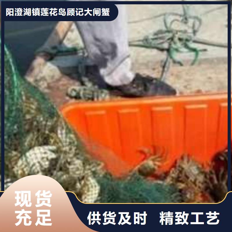 好货直销螃蟹_【阳澄湖大闸蟹订购】有实力有经验
