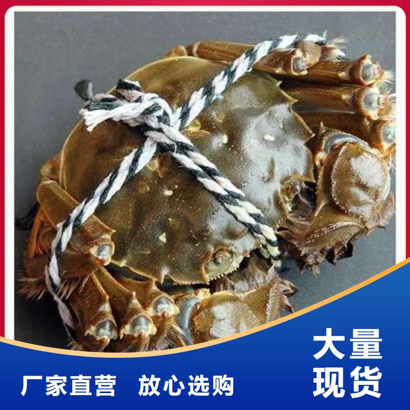 2025采购##阳澄湖大闸蟹##品种齐全