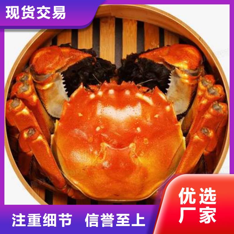 阳澄湖大闸蟹-阳澄湖大闸蟹品质保证