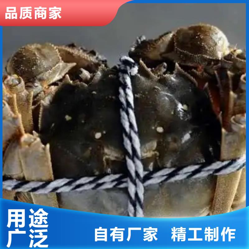 阳澄湖大闸蟹全国配送