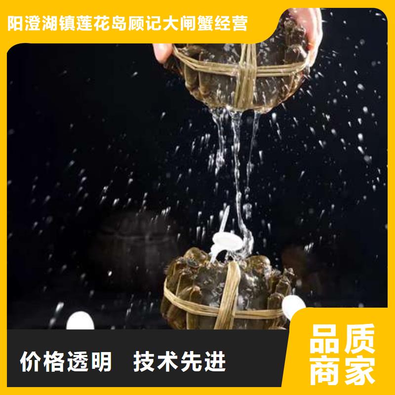 ：阳澄湖大闸蟹厂家批发