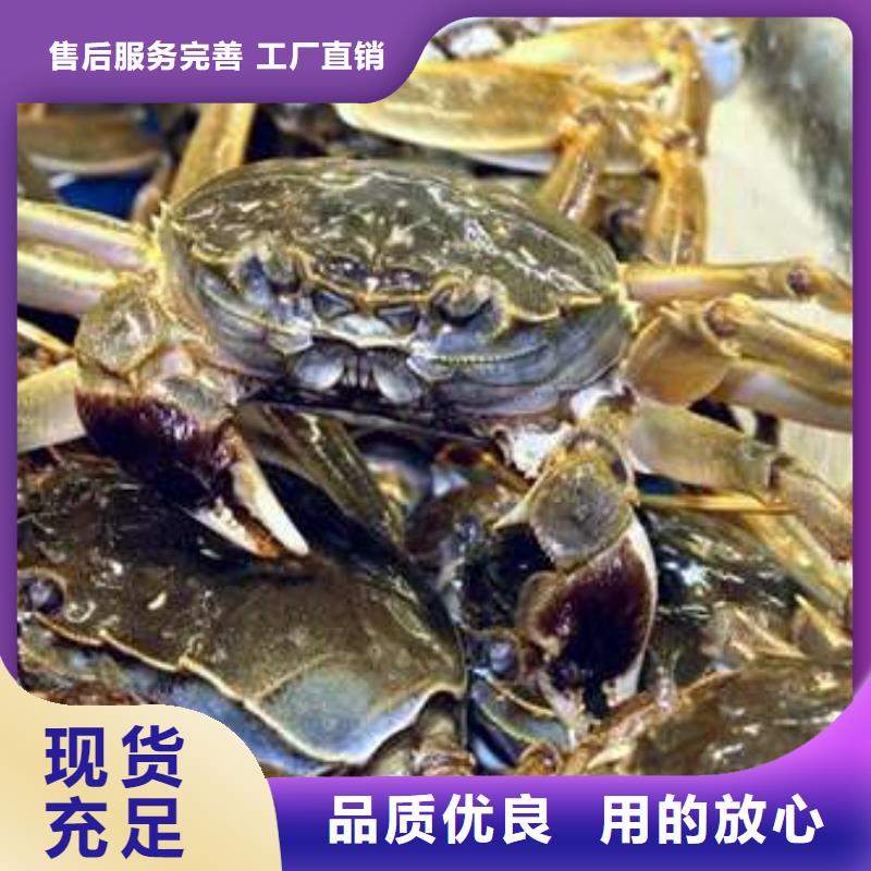 阳澄湖大闸蟹全国配送