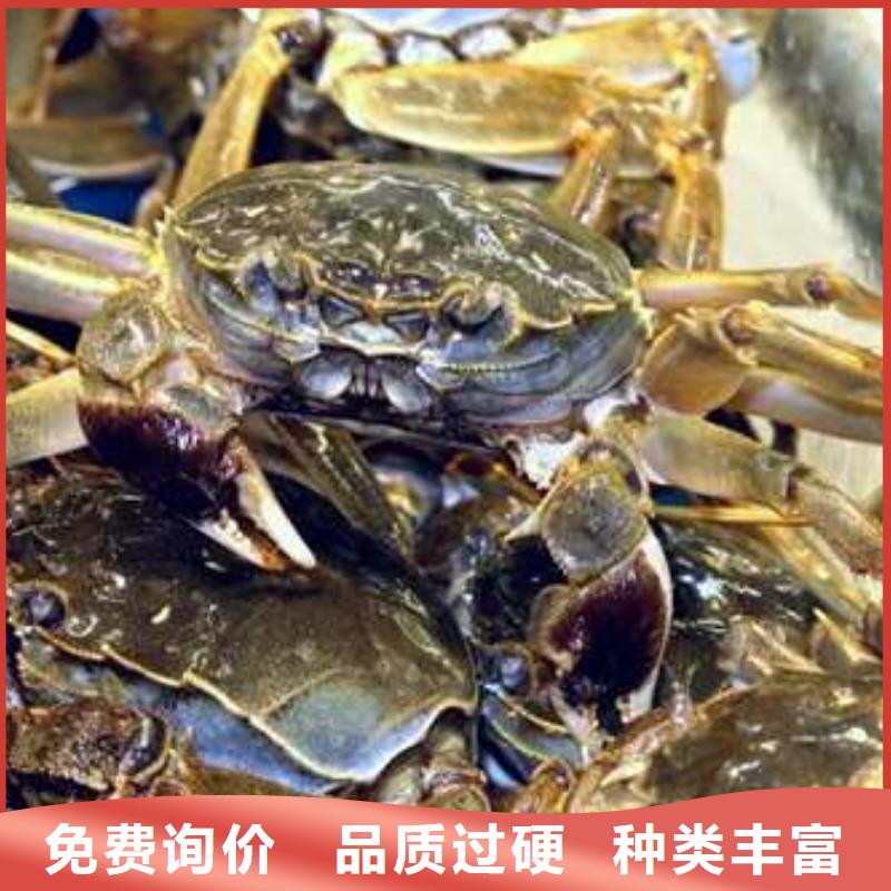 阳澄湖大闸蟹厂家好品质