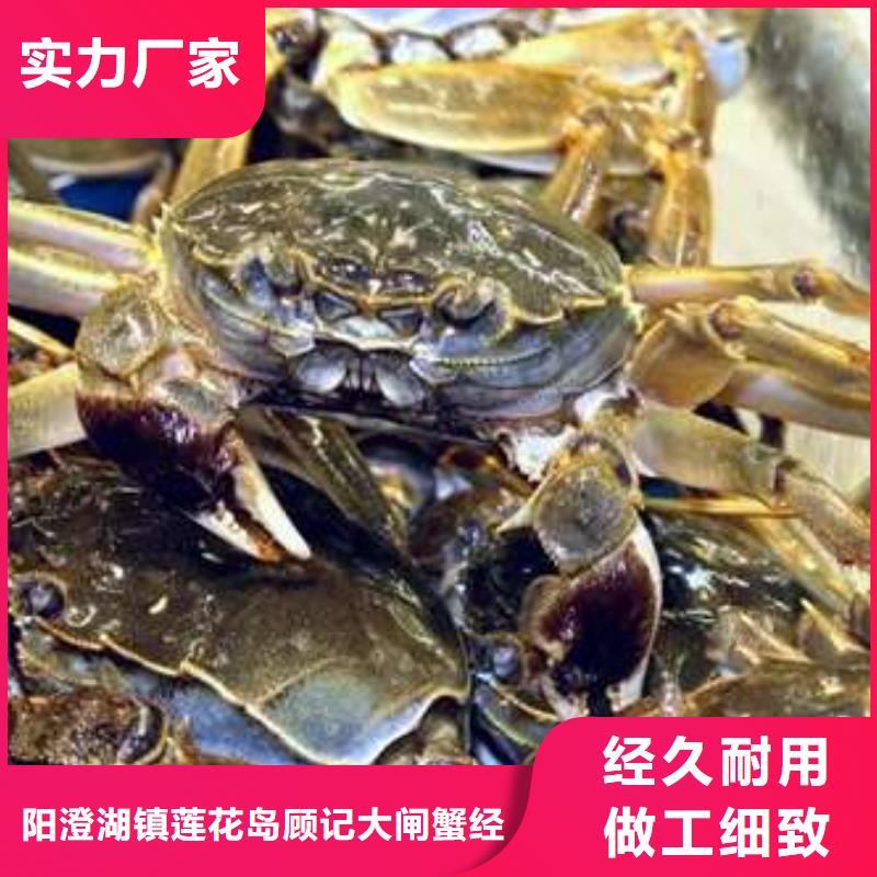 顾记【螃蟹】-阳澄湖大闸蟹工厂直销-云商赢企