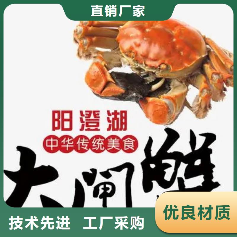 阳澄湖大闸蟹-阳澄湖大闸蟹品质保证