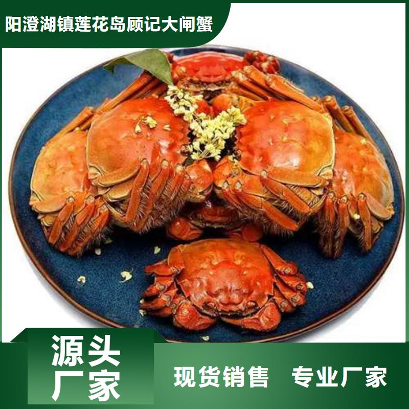 阳澄湖大闸蟹_品类齐全