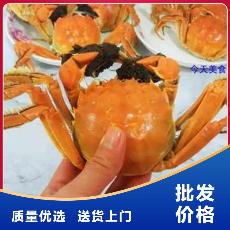 阳澄湖大闸蟹-阳澄湖大闸蟹来电咨询