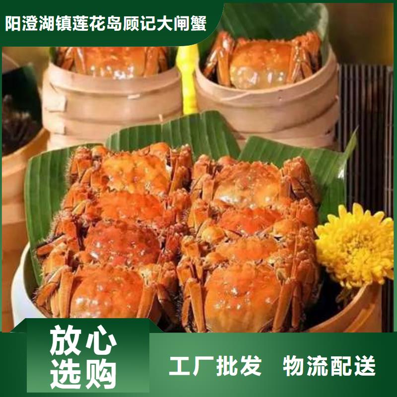 顾记【螃蟹】-阳澄湖大闸蟹工厂直销-云商赢企