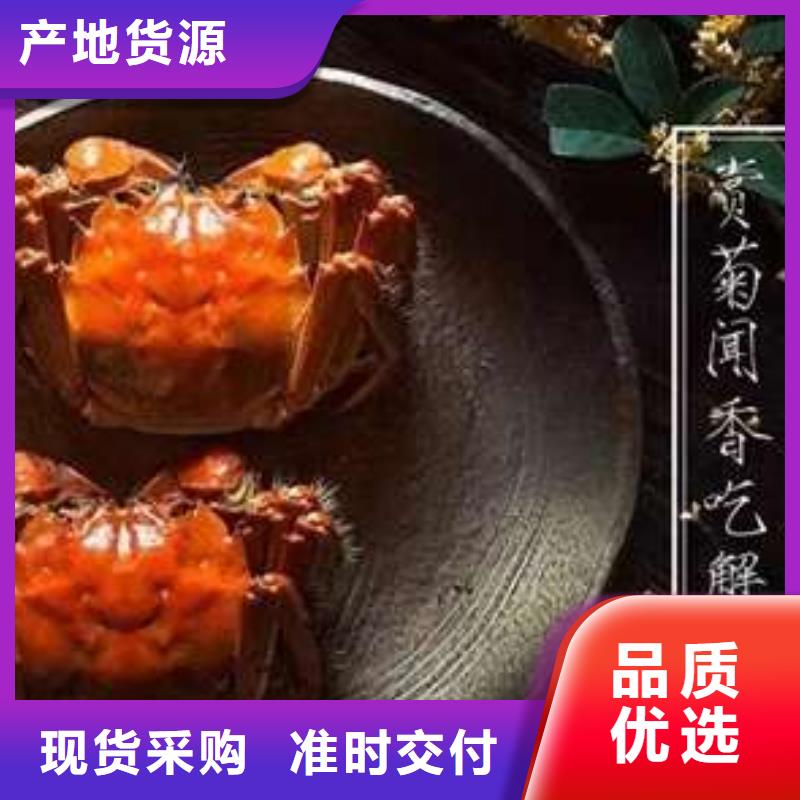 【螃蟹】-阳澄湖大闸蟹团购口碑好实力强覆盖范围含|林口|阳明|鹤岗|齐齐哈尔|大庆|黑河