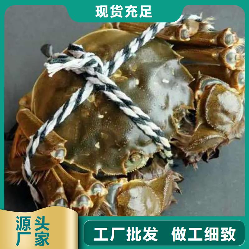 【 螃蟹 阳澄湖大闸蟹品质卓越】顾记阳澄湖大闸蟹