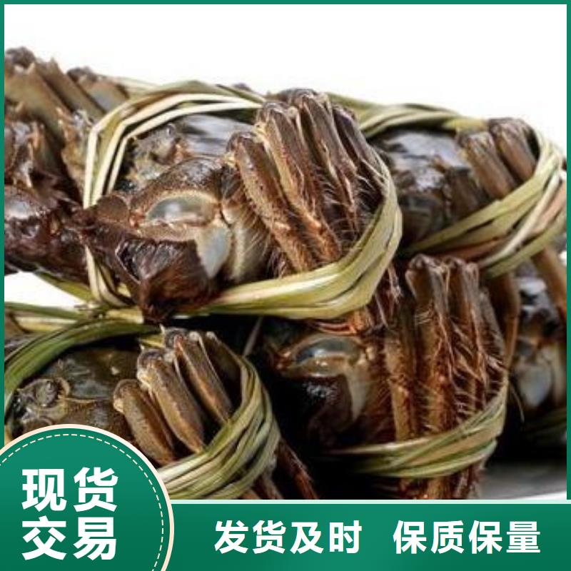 【螃蟹】-阳澄湖大闸蟹订购服务始终如一-可发货到江山|开化|台州|杭州|金华|舟山