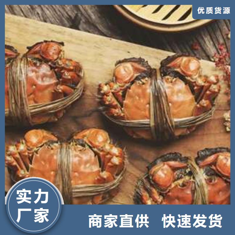 好货直销螃蟹_【阳澄湖大闸蟹订购】有实力有经验