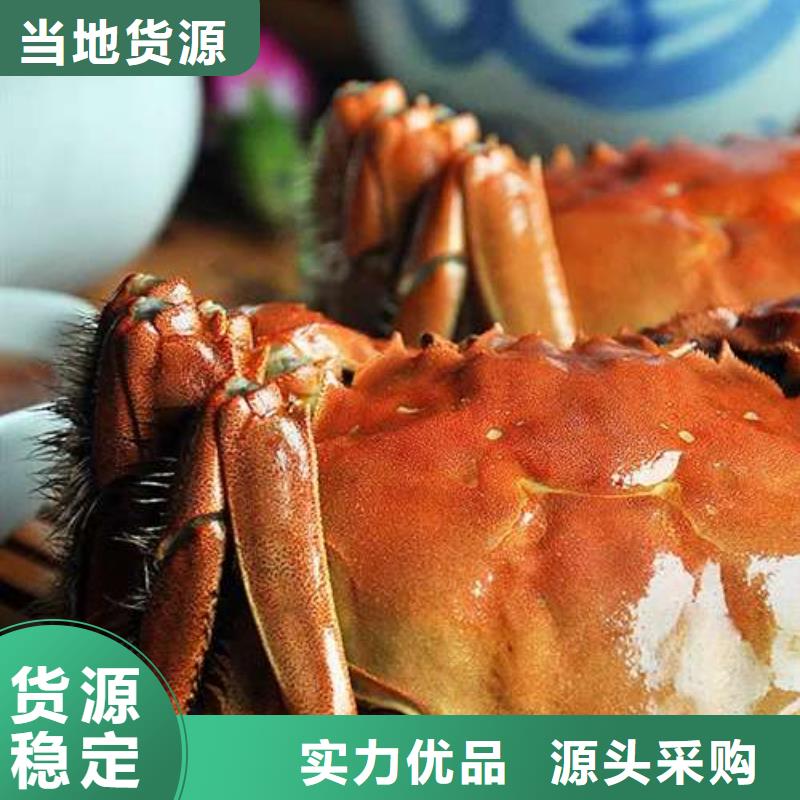 顾记阳澄湖大闸蟹【螃蟹阳澄湖大闸蟹多少钱批发商】云商赢企