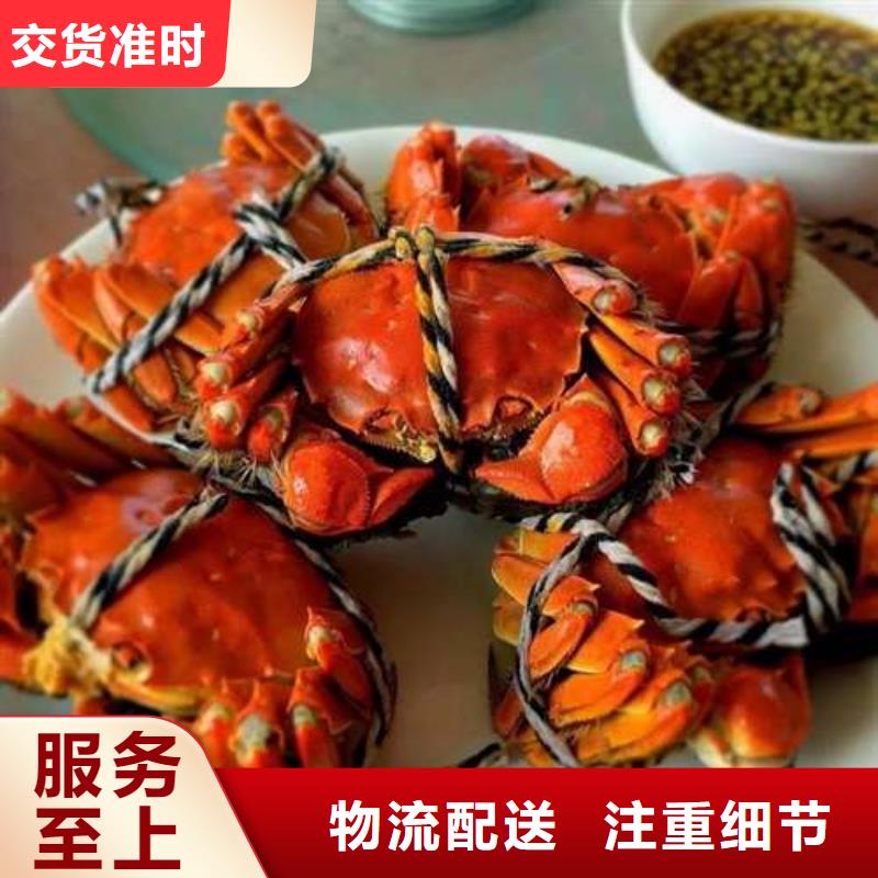 清远市大螃蟹价格多少钱一斤