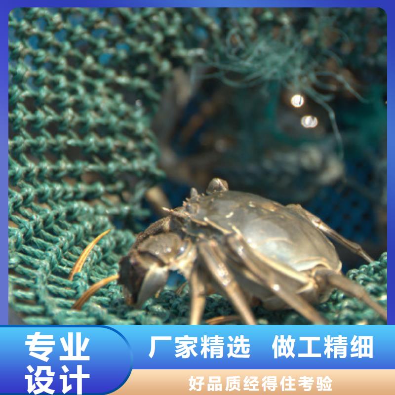 【螃蟹】-阳澄湖大闸蟹价格厂家直发-阳澄湖镇岛顾记大闸蟹经营部(郴州市分公司)