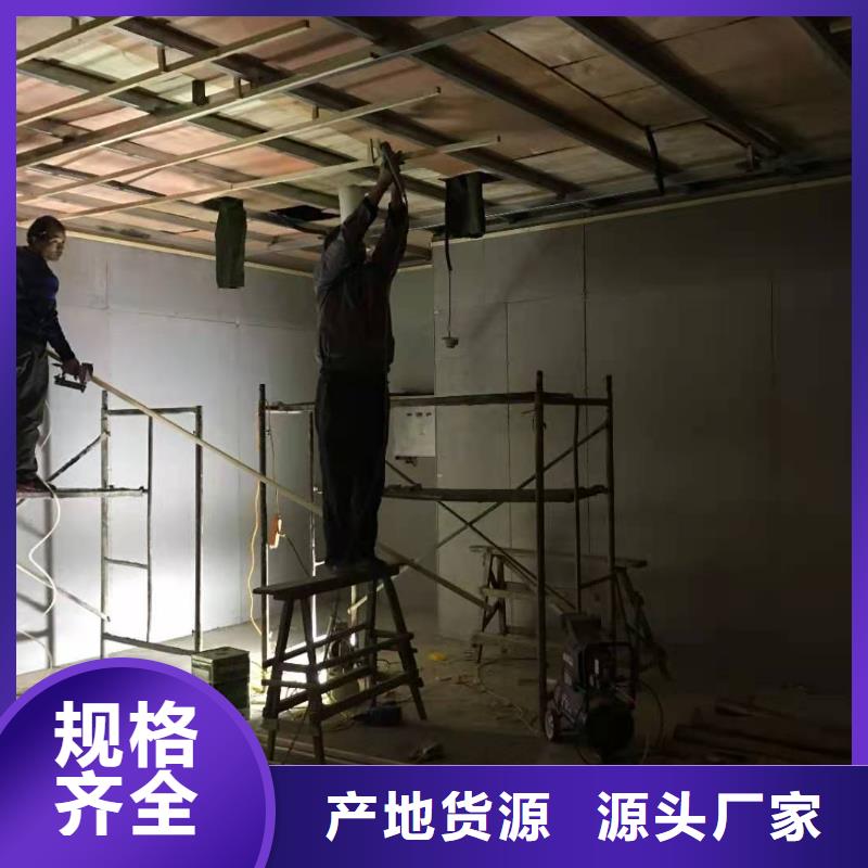 【射线防护工程】,射线铅门厂家质优价保