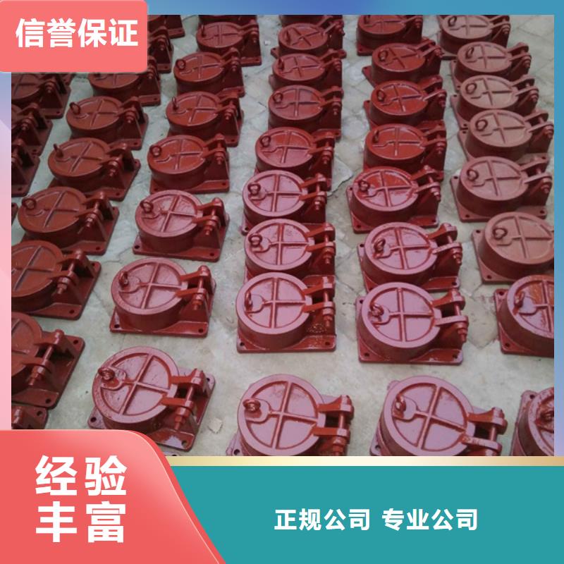 (瑞鑫)襄阳节能式侧翻式拍门优质生产厂家