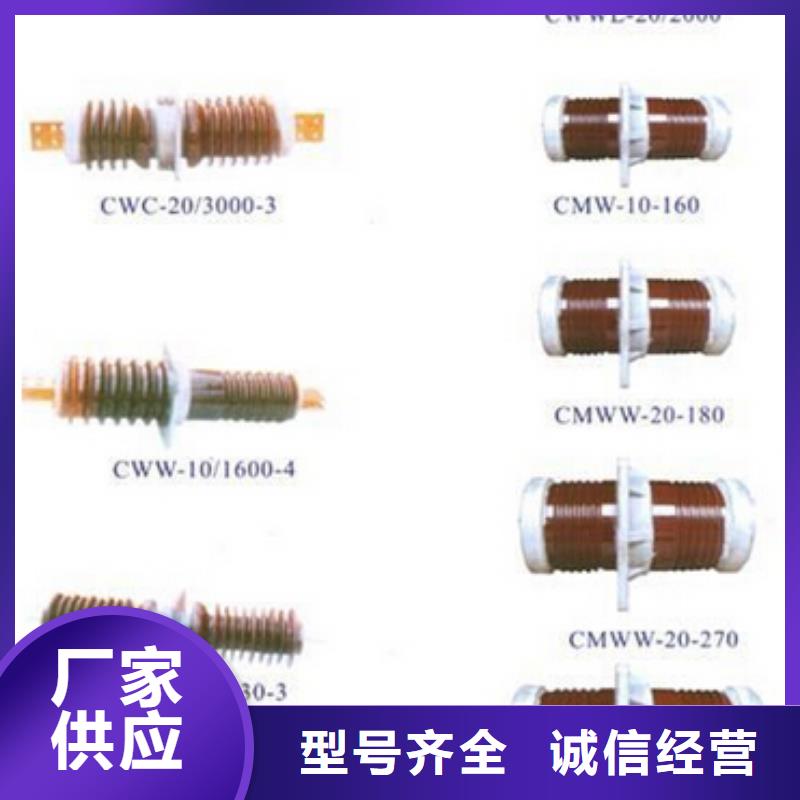 高压隔离开关避雷器专业生产团队