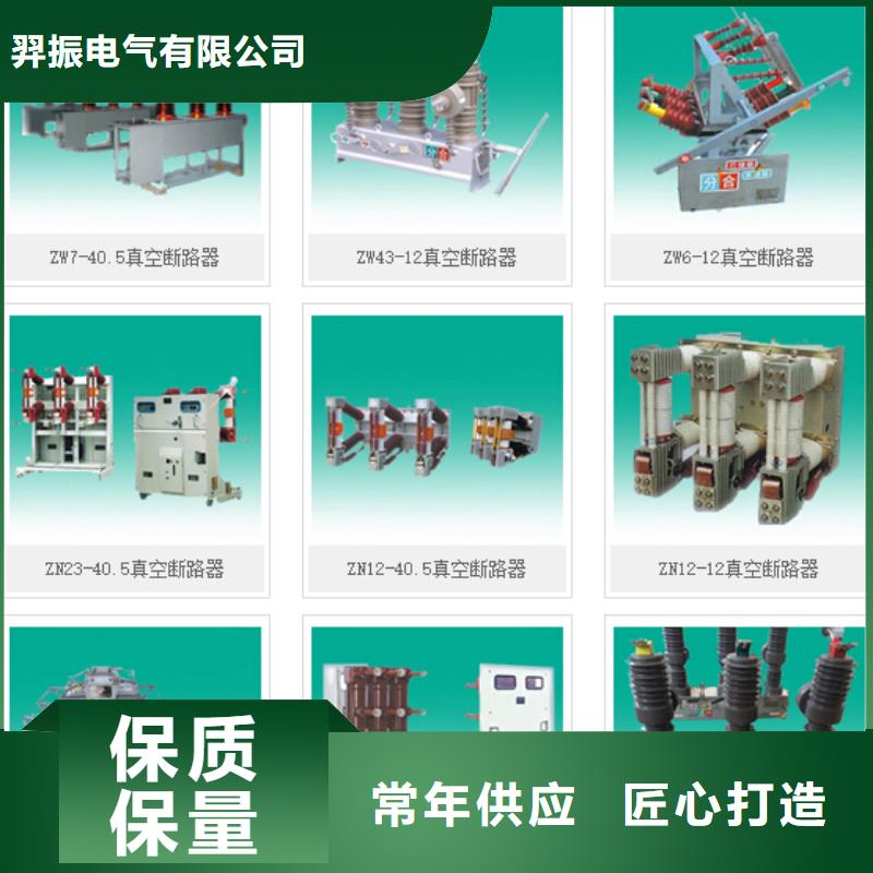 高压隔离开关-三相组合式避雷器敢与同行比服务