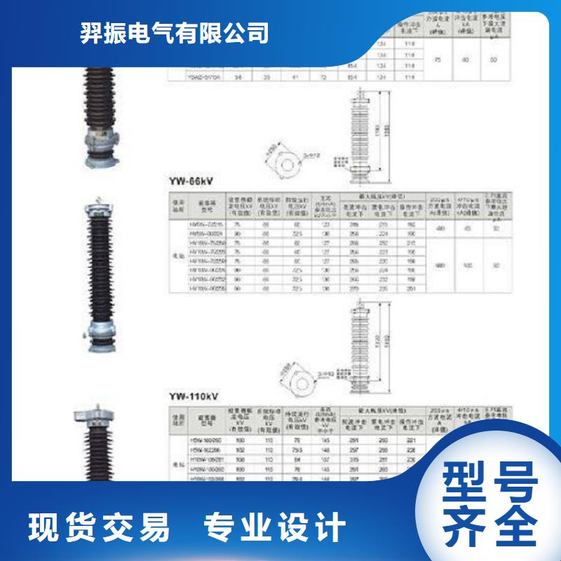 避雷器Y10W-96/238【羿振电力】