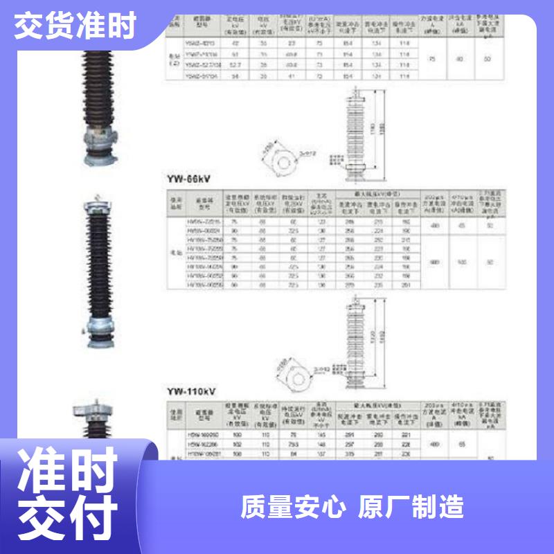 氧化锌避雷器Y10W-100/260【浙江羿振电气有限公司】