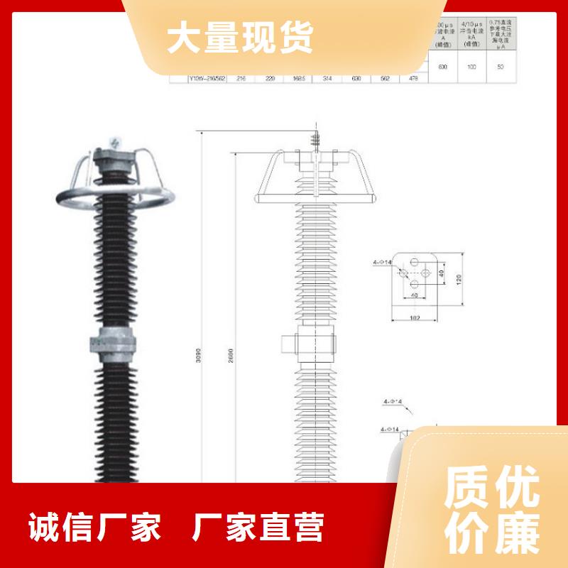 瓷外套金属氧化物避雷器Y10W-192/500上海羿振电力设备有限公司