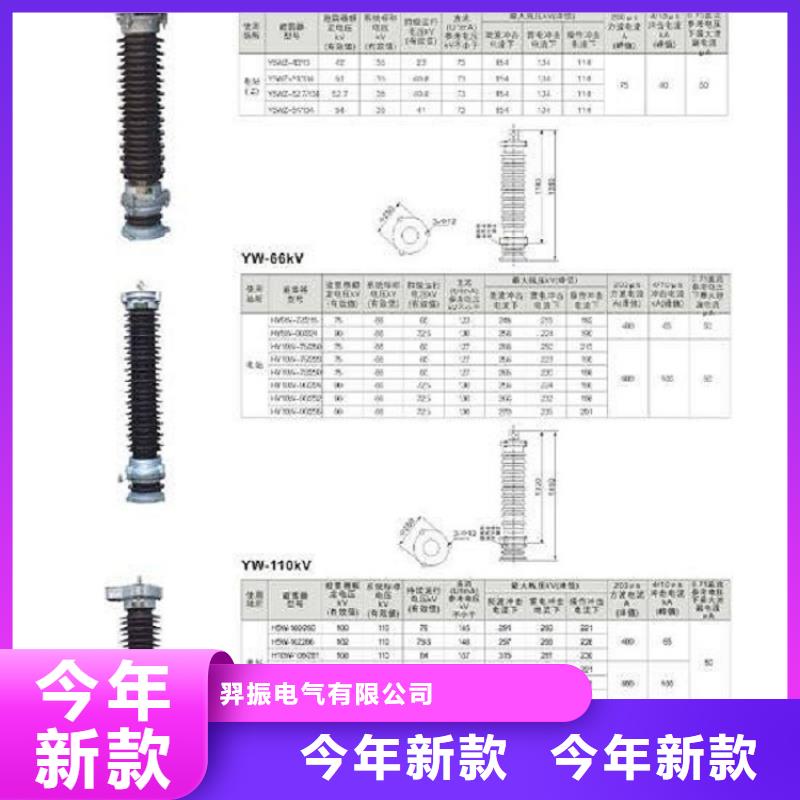 避雷器Y10W-192/500