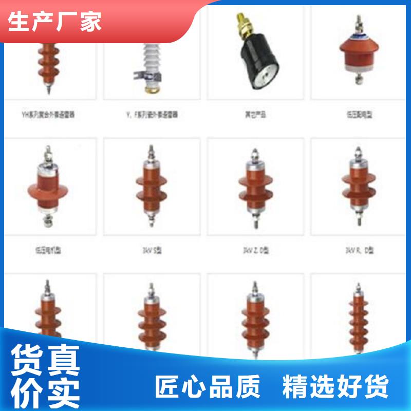 避雷器Y10W5-116/302