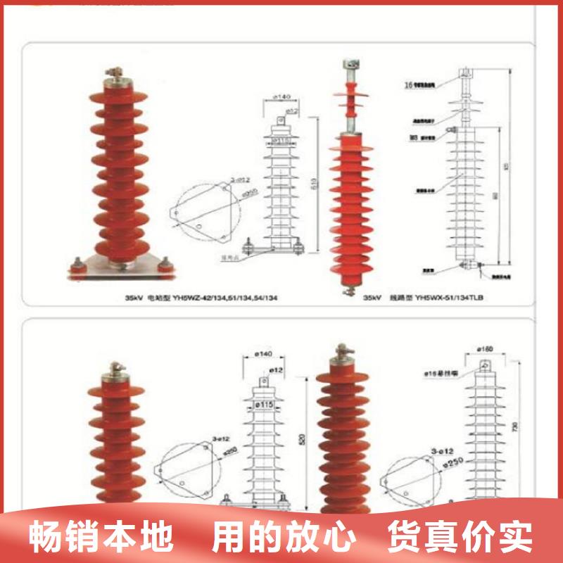 避雷器Y10W5-116/302