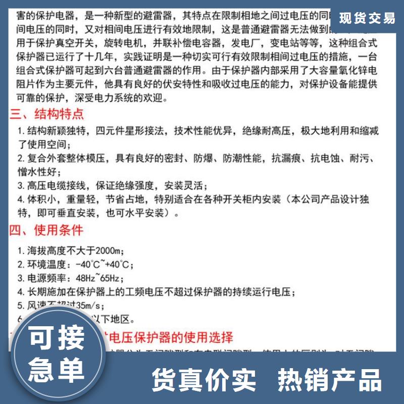 过电压保护器(组合式避雷器)TBP-C-12.7/131-J