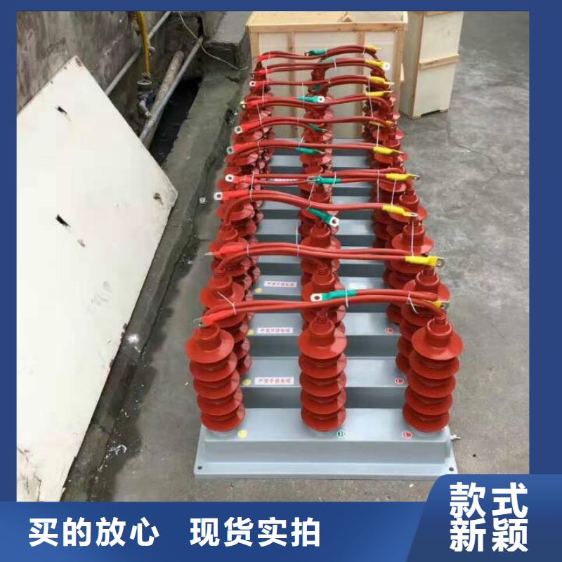 过电压保护器_【高压隔离开关厂家】一站式厂家|六氟化硫断路器-羿振电气(淮南市分公司)