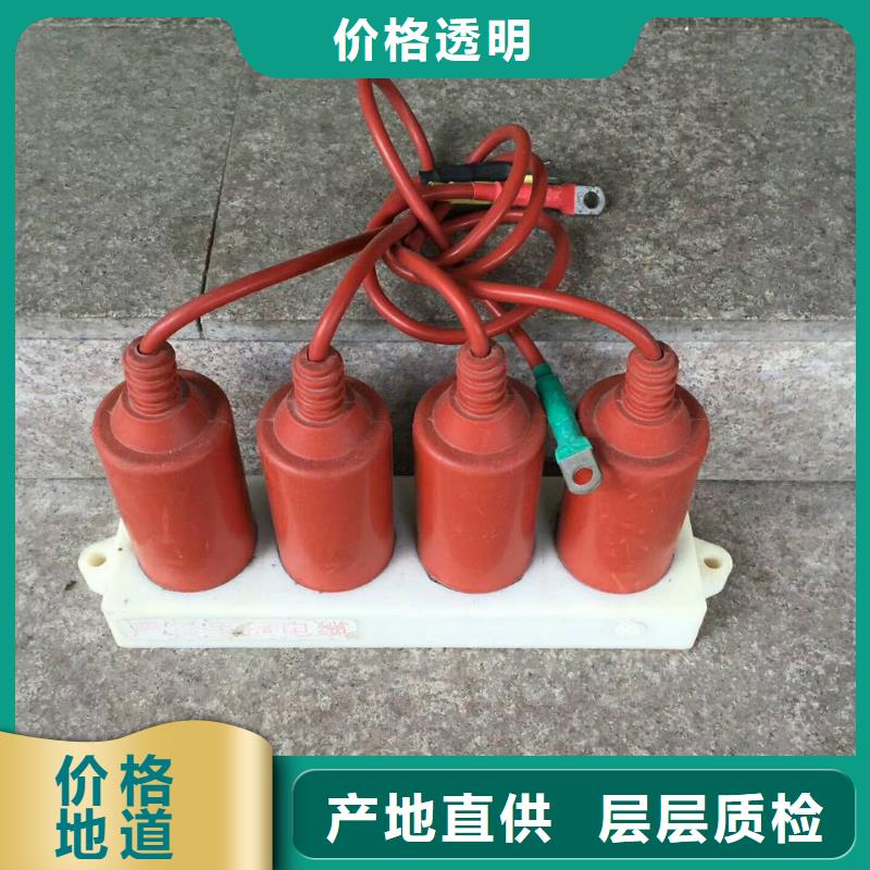 【组合式避雷器】YH5CD-3.8/9.5*3.8/9.5