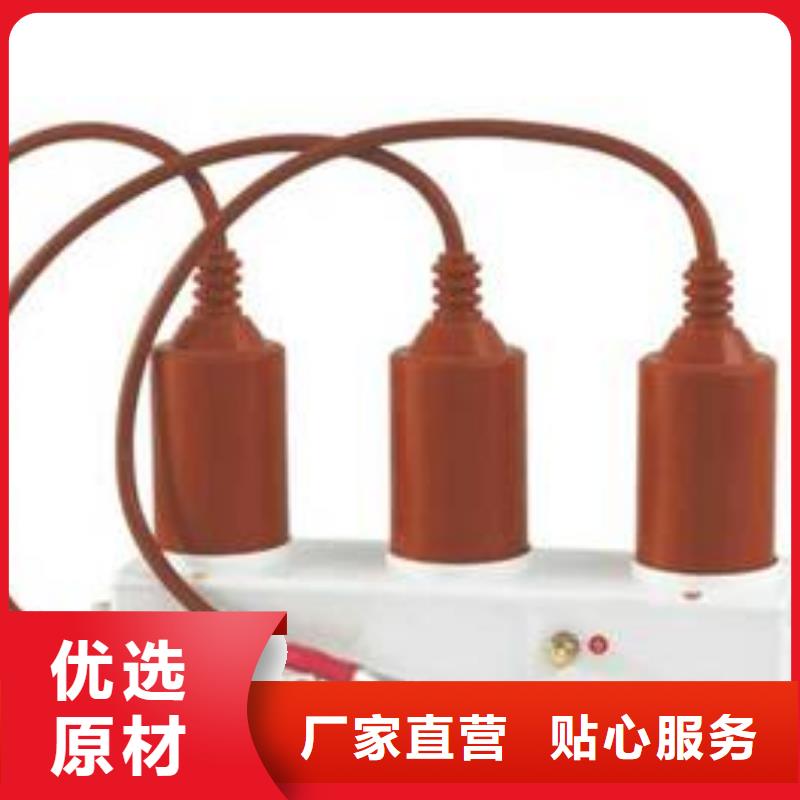 过电压保护器高压隔离开关货真价实由羿振为您