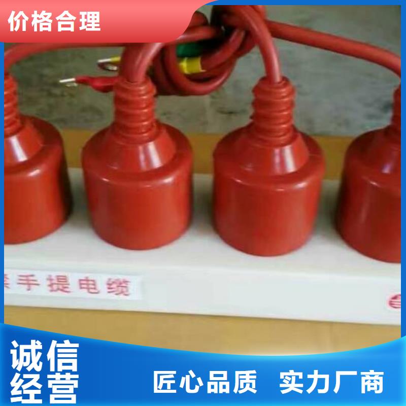 〖过电压保护器〗SYB-C-12.7/85厂家报价