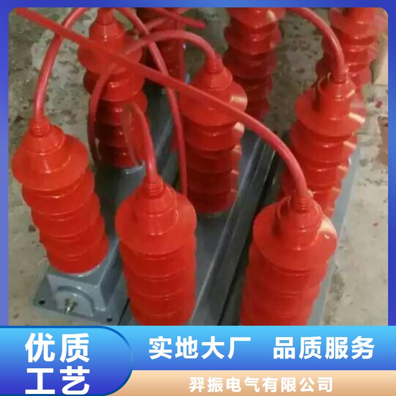 保护器(组合式避雷器)TBP-A-42F/630W2