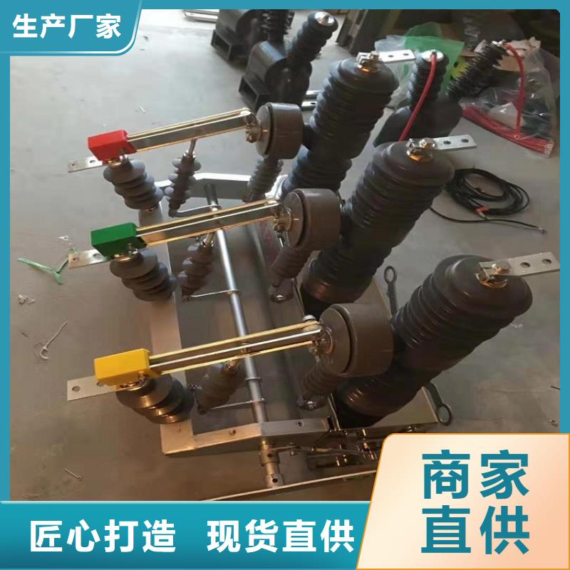 【 ZW32真空断路器_隔离开关厂家优质材料厂家直销】_羿振电气(肇庆市分公司)
