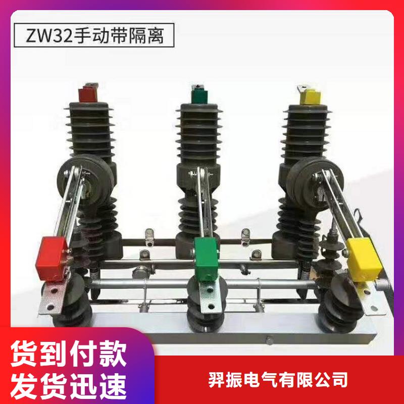 ZW32-12M/630-2010KV真空断路器-看门狗控制器/ZW32柱上开关