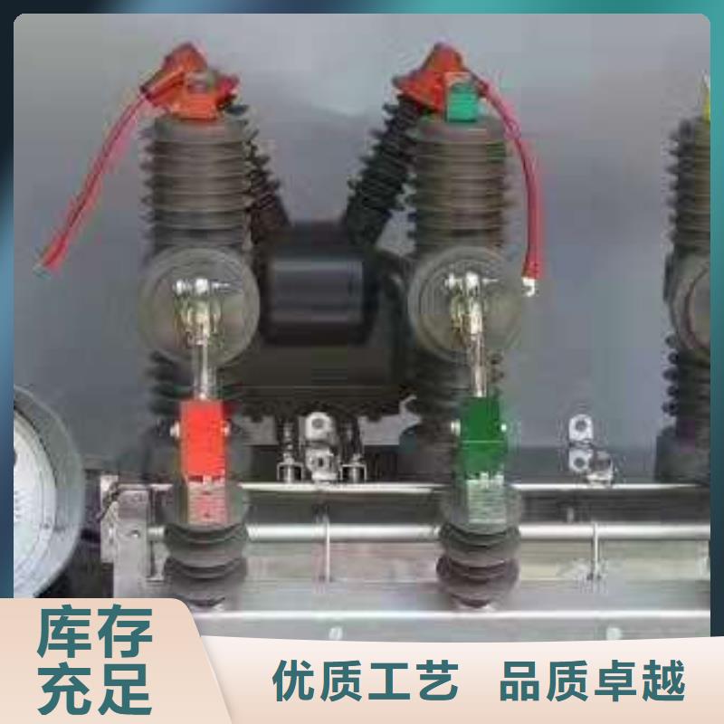 ZW32-12M/630-2010KV真空断路器-看门狗控制器/ZW32柱上开关